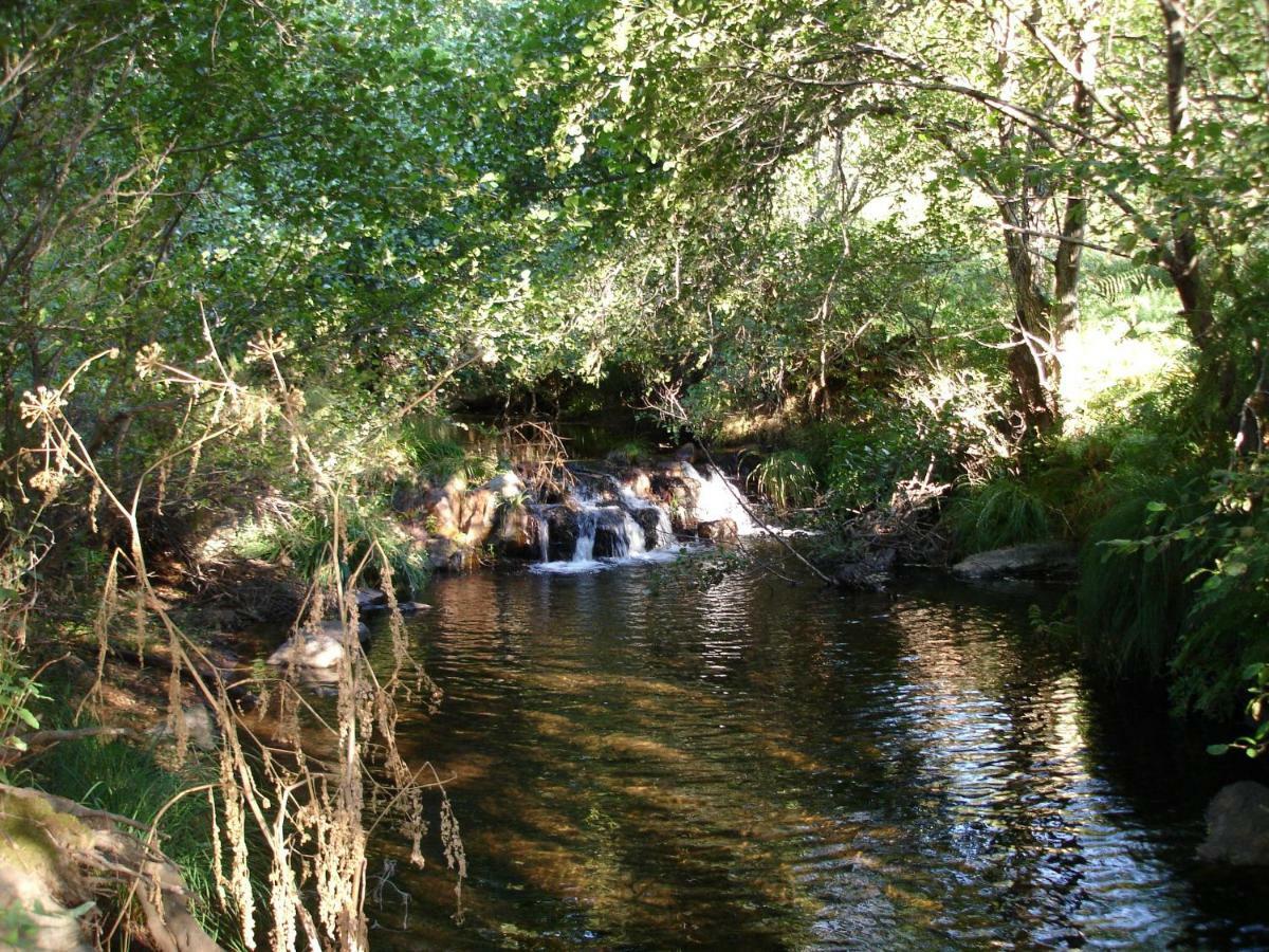 Apartamento La Sierra La Codosera Buitenkant foto